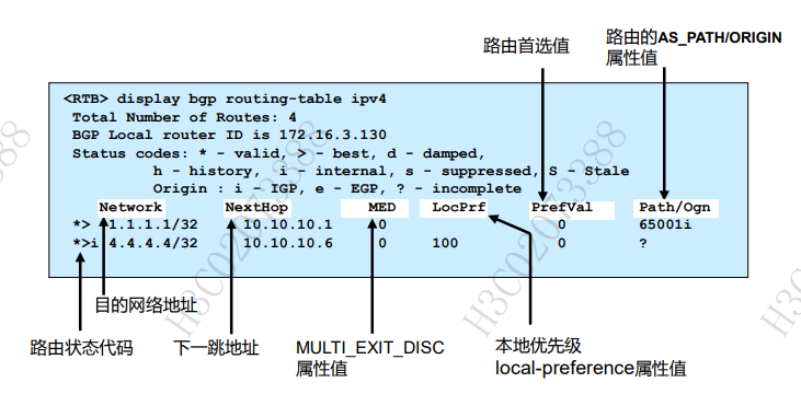 BGP路由表